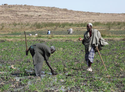 Pathways for irrigation development in Africa