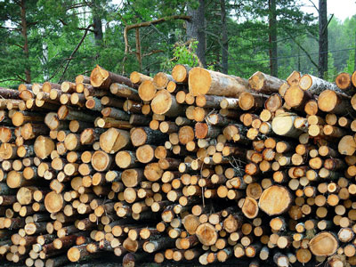 logging