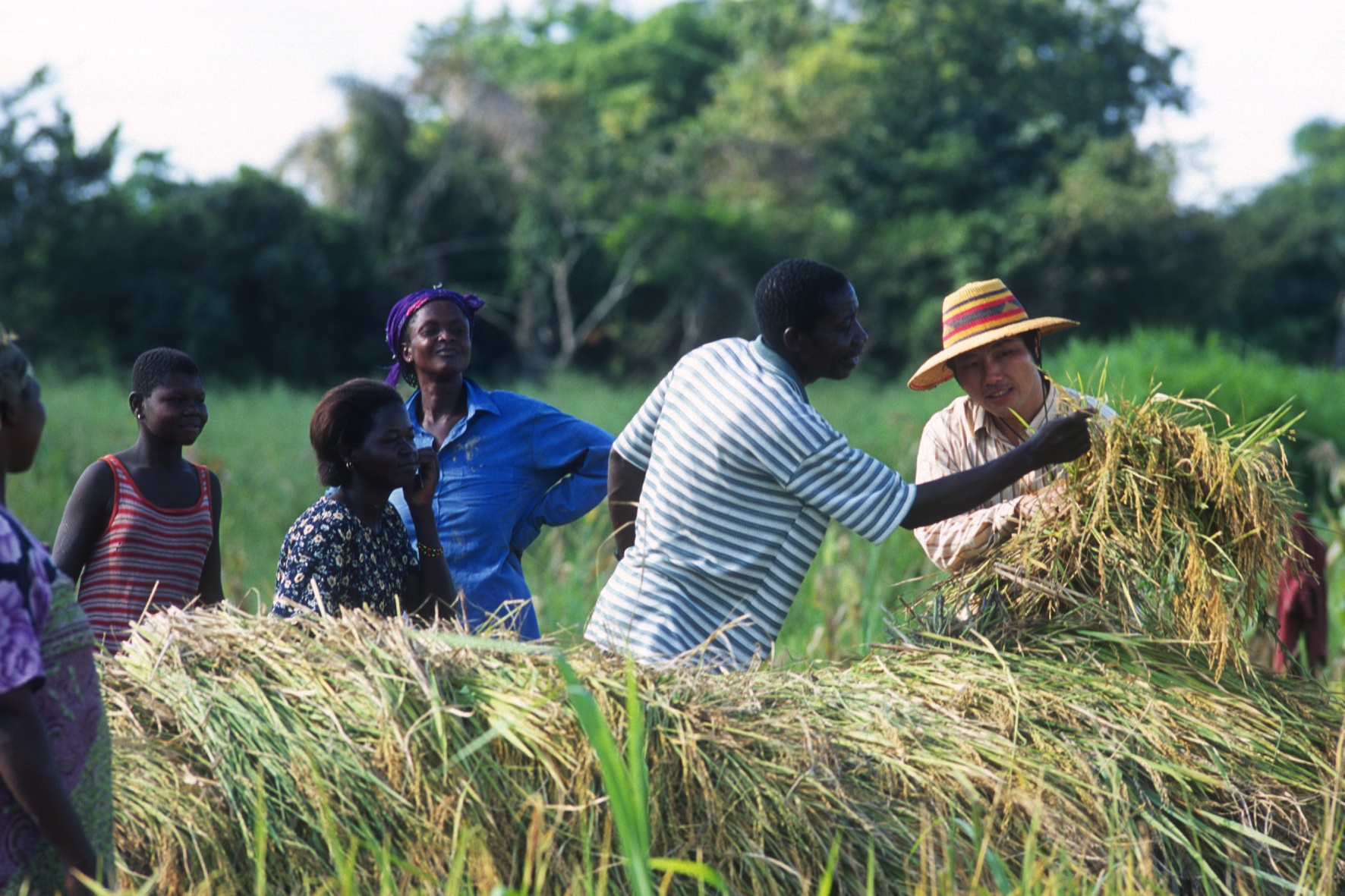 China & Brazil in African Agriculture: Two New Working Papers