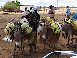 Agricultural Development Issues in Kenya