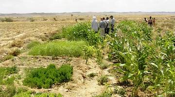 Motivation for Land Grab Research