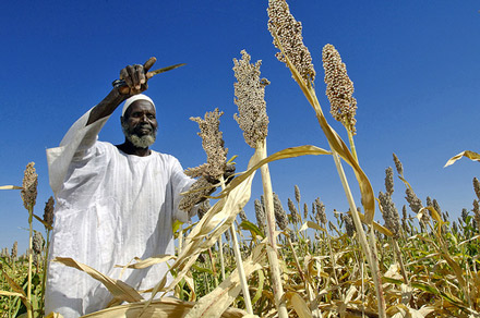 CAADP at 10: Progress toward agricultural prosperity