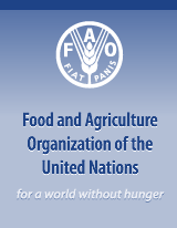 September 14  – New numbers on world hunger to be released- FAO/WFP/IFAD press conference