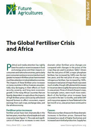 The Global Fertiliser Crisis and Africa
