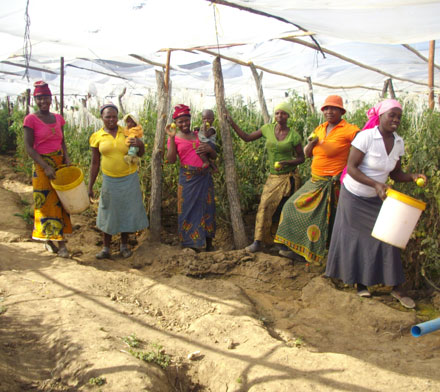 Debating Zimbabwe’s Land Reform: new book