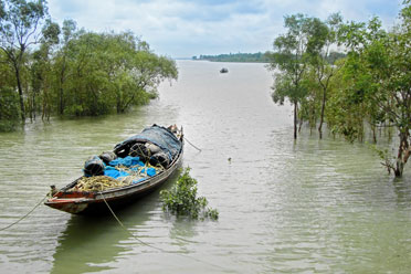 Jobs: 3 x researchers in Environmental Change, UK