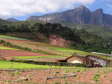 brazilfarmings