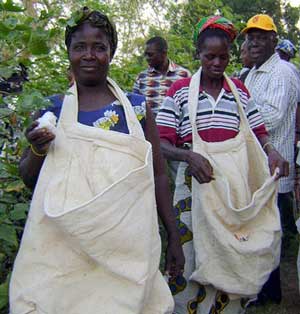 Cotton growers in Burkina Faso