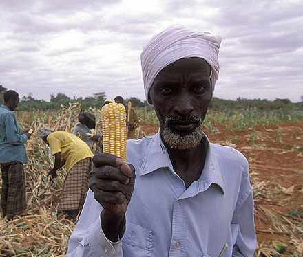 The politics of agricultural carbon finance in Kenya