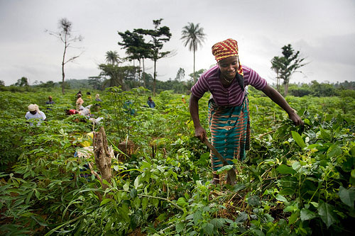 Background – Agricultural Investment conference 2014