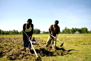 coupleinfields