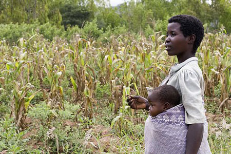 farmer, malawi