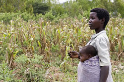 farmer-malawi