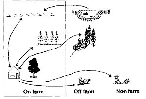 farm systems diagram