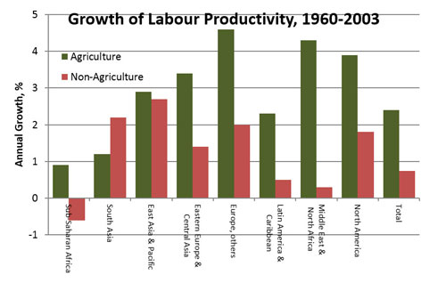 graph - growth of labour productivity 1960-2003 