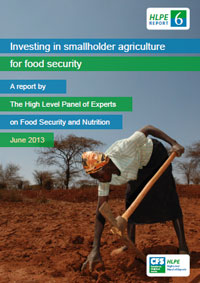 FAO launches high-level reports on biofuels and smallholder farmers