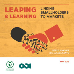 leaping and learning front cover