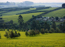 Kericho