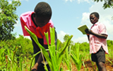 Africa’s Future Farmers