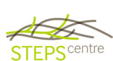 logo_steps