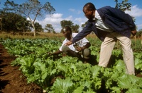 National and Regional Panel Discussions on the future of Agricultural/ Pastoral Extension System