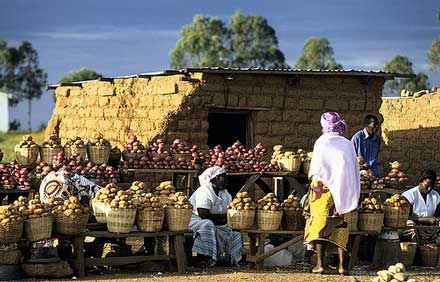 villageproducemarket