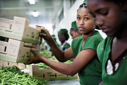 Event: Employment and Agricultural Value Chains at CFS 39