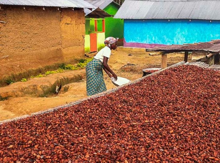 Promoting Agribusiness Investment in Ghana: Rethinking Policy Incentives