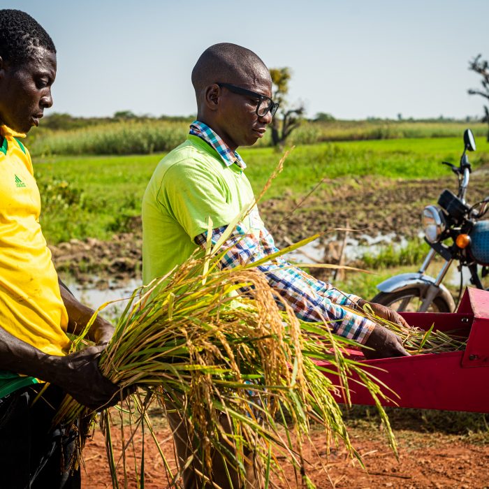 © IFAD/Bernard Kalu