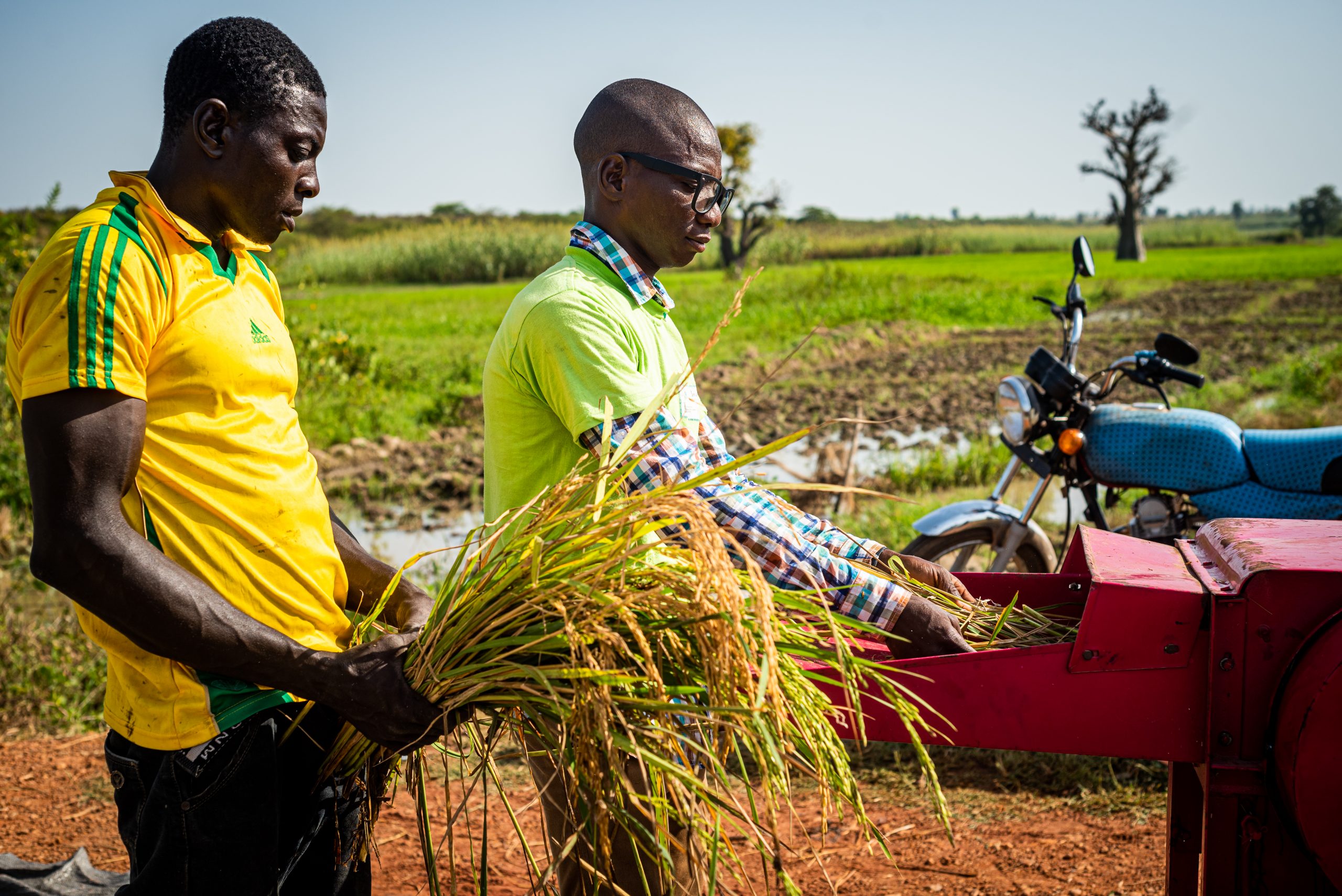 © IFAD/Bernard Kalu